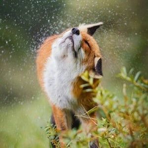 Meet your Posher, Kelly-ann